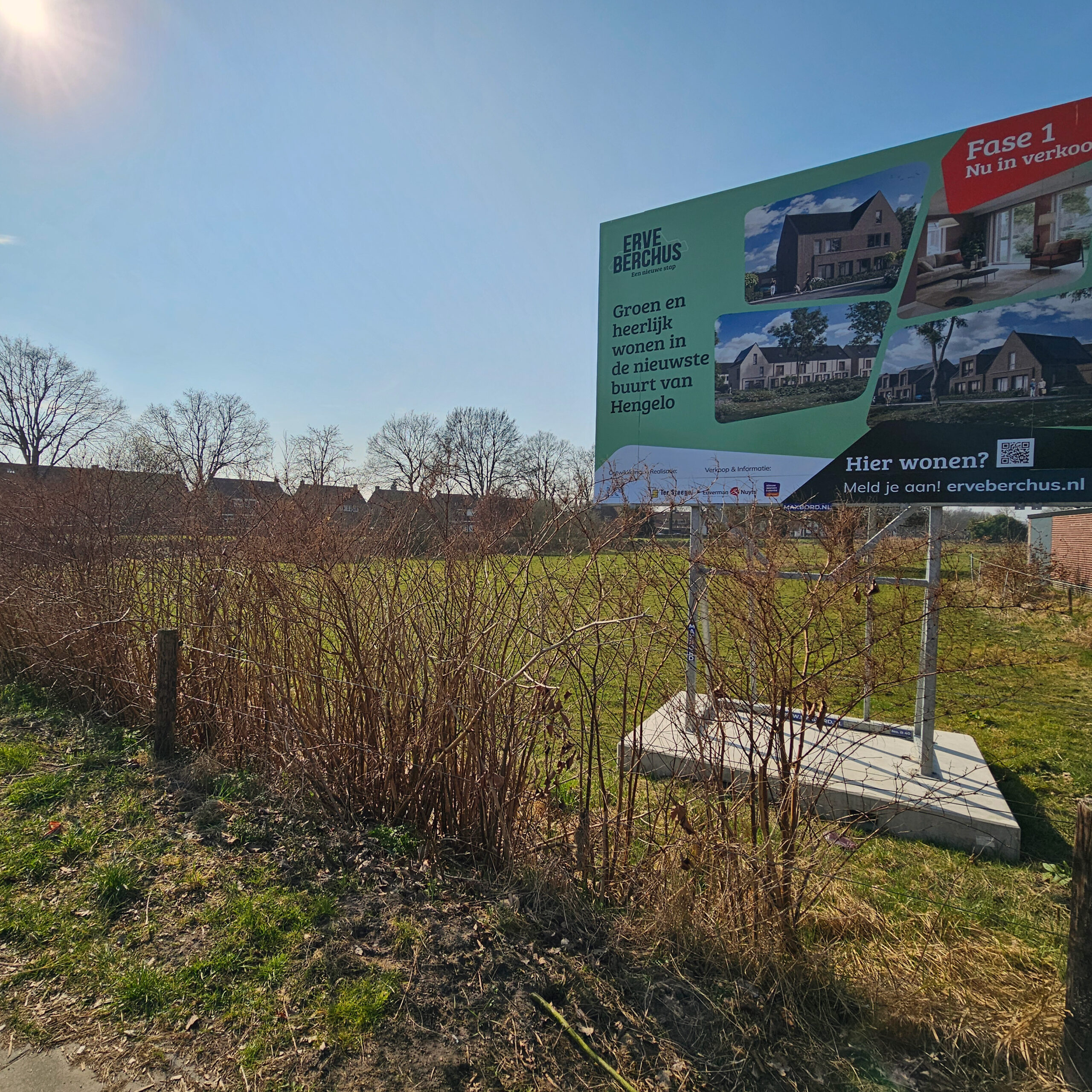 Bouwkavels met Japanse duizendknoop