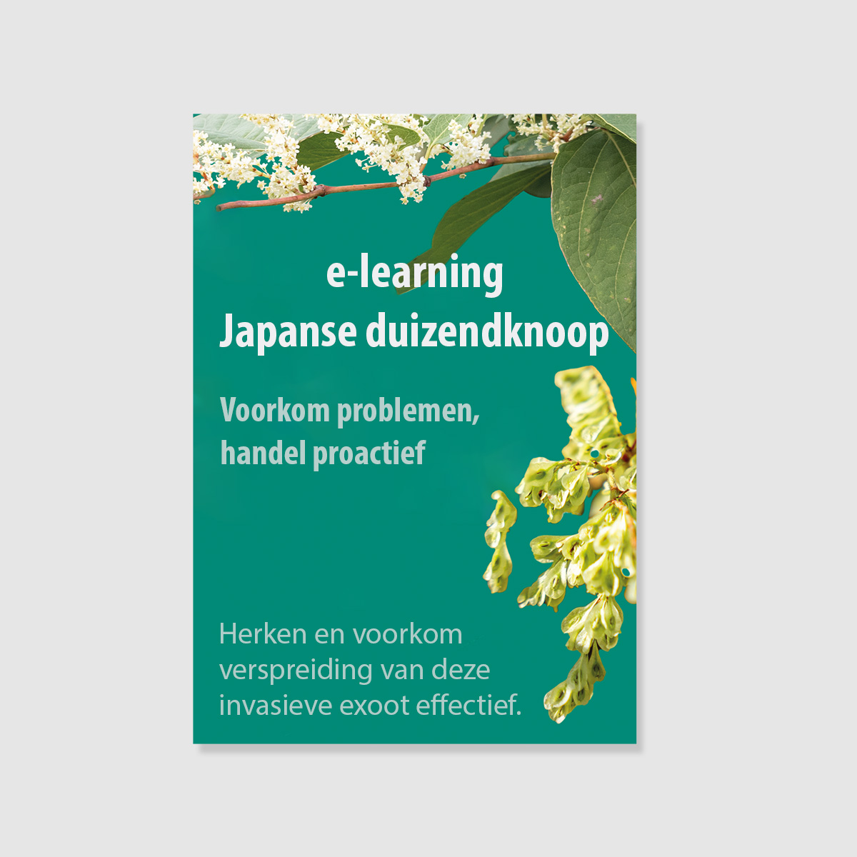 Training (e-learning) Japanse duizendknoop: voorkom problemen, handel proactief