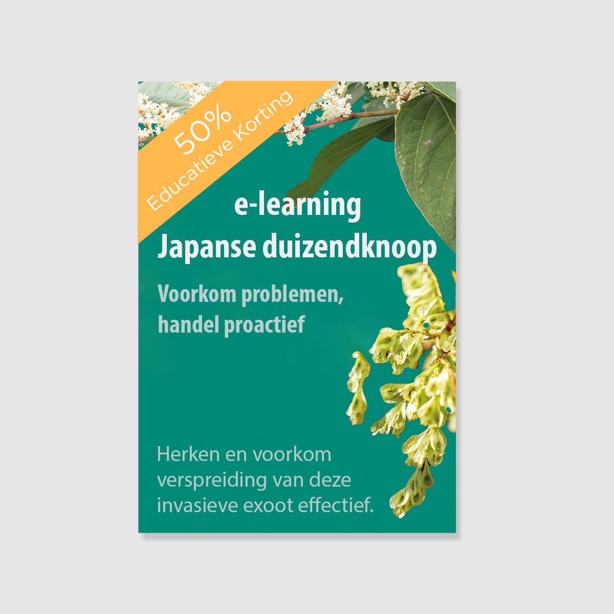 Training JDK met korting