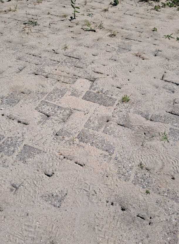 Mediterraan Draaigatje Dreevers